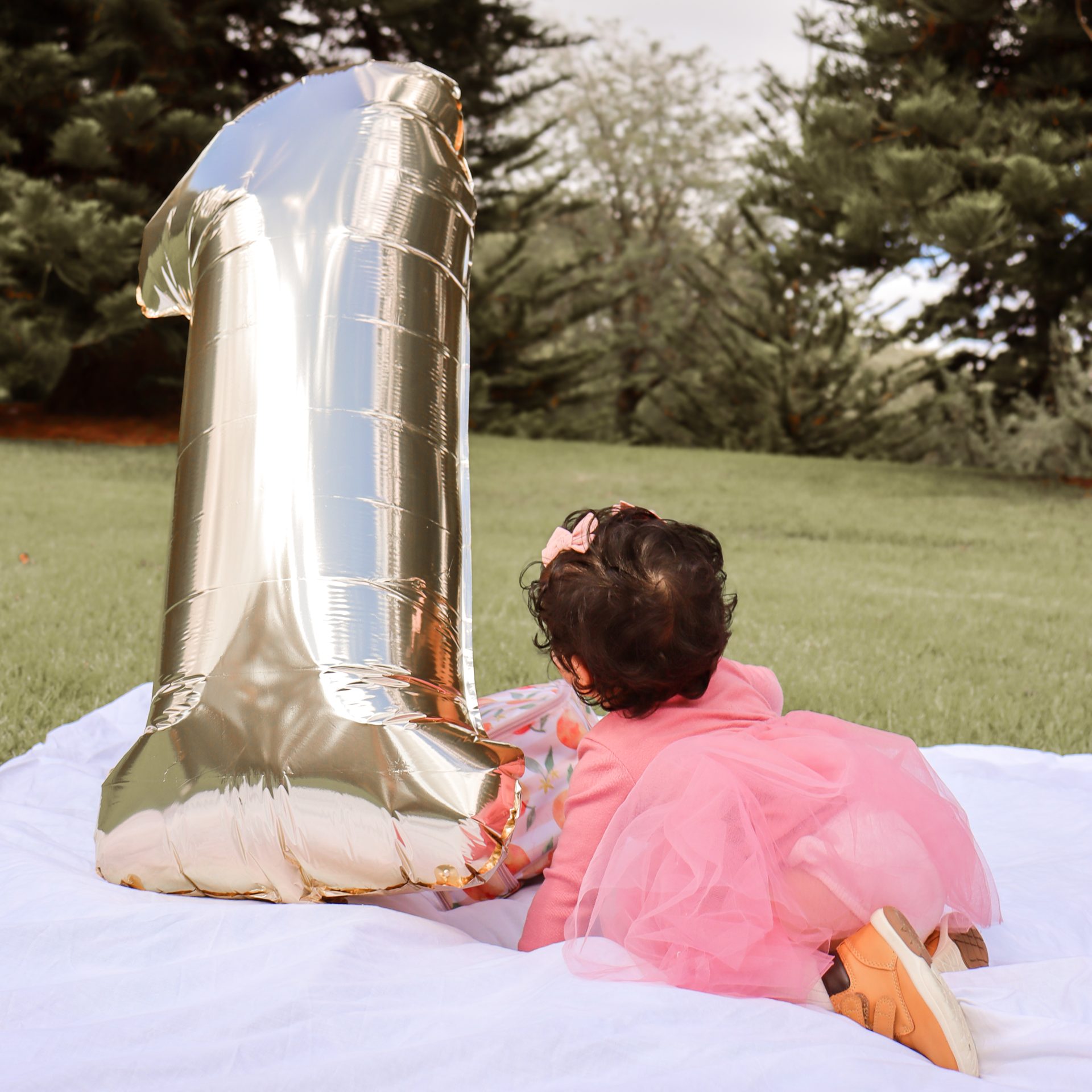 Milestone photography Adelaide