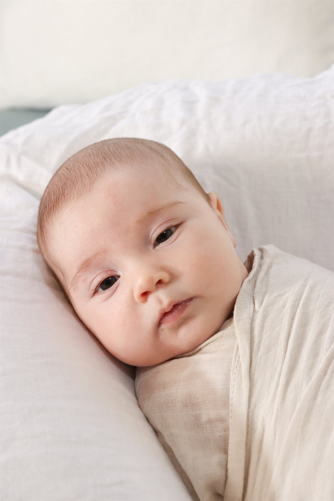 Newborn photography Adelaide