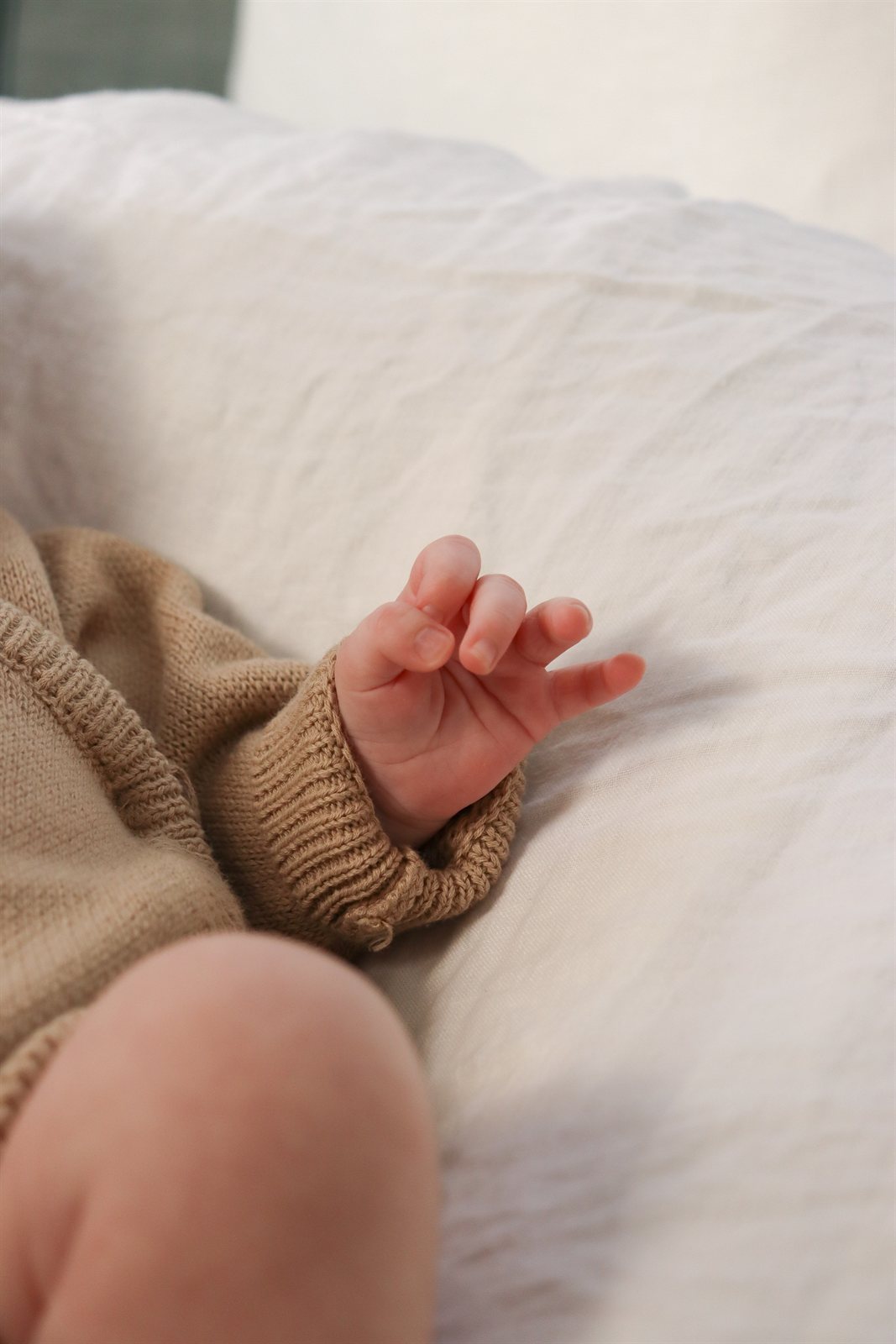 Newborn photography Adelaide