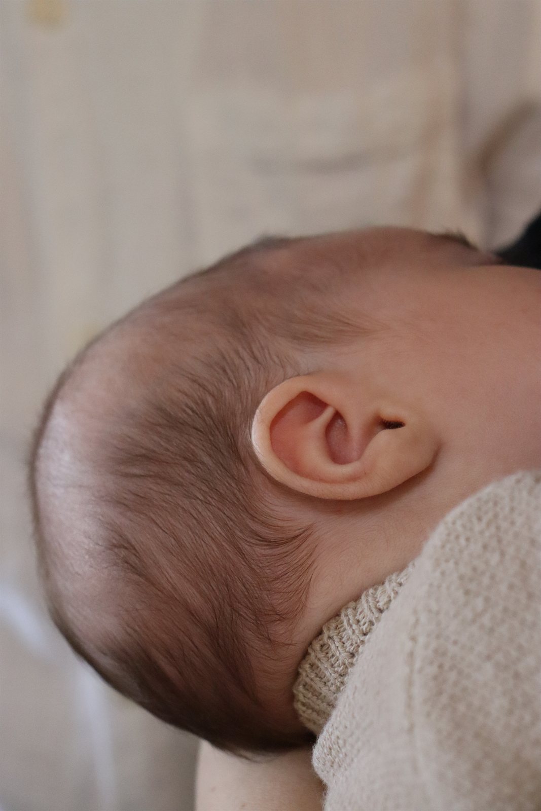 Newborn photography Adelaide