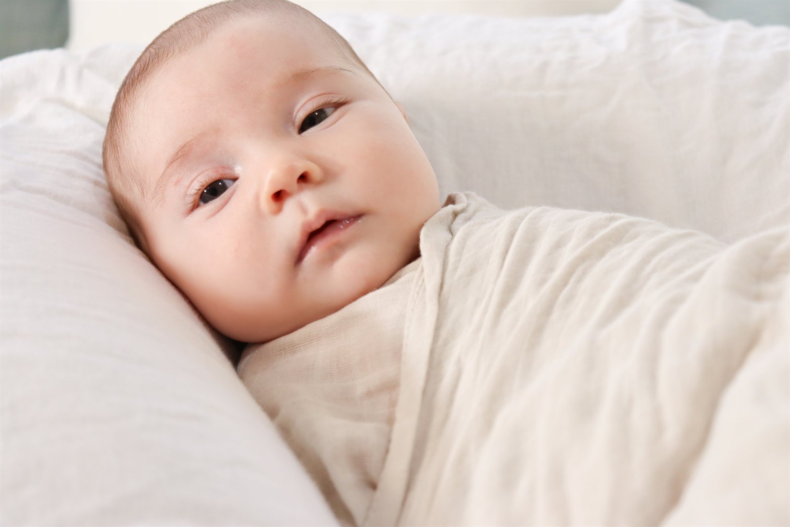 Newborn photography Adelaide
